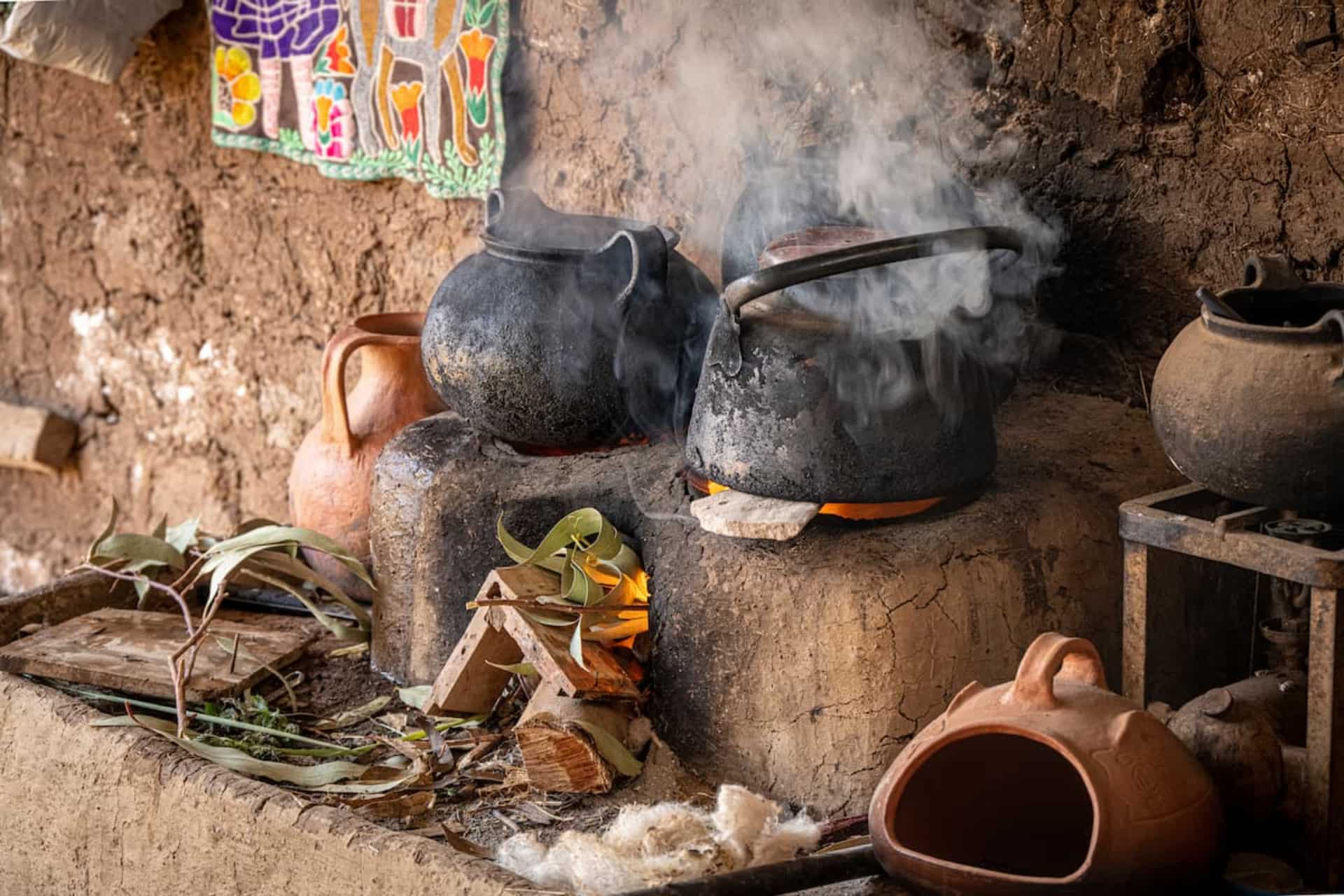 A brief overview of the history of cooking - École Ducasse